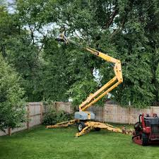 Best Tree Health Inspection  in Mcewen, TN