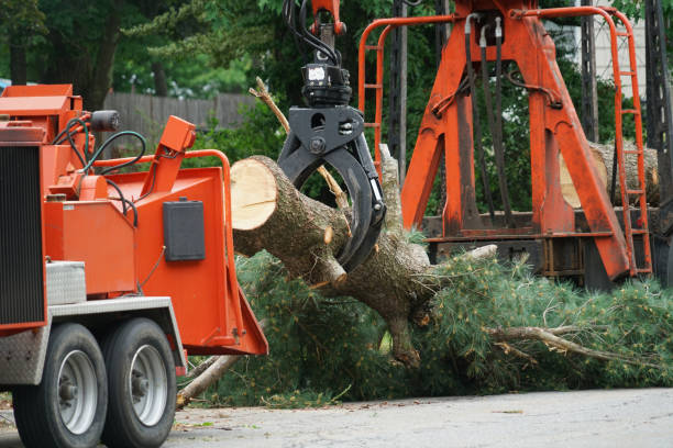 Lawn Watering Services in Mcewen, TN
